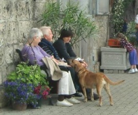 Tag der offenen Gartentr in Weyarn
