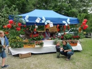 Sonnwendfeier 2011 in Naring