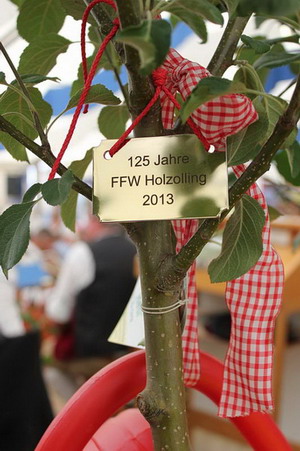 125 FFW Holzolling
