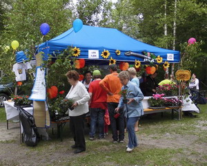 Sonnwendfeier 2013 in Naring