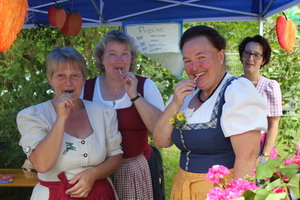 Sonnwendfeier 2013 in Naring