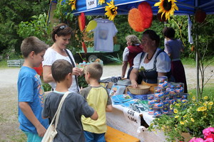 Sonnwendfeier 2013 in Naring