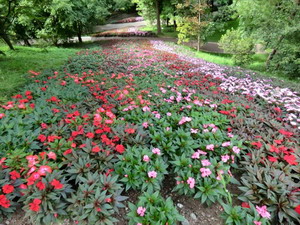 Jahresausflug des Gartenbauverein Holzolling 2013