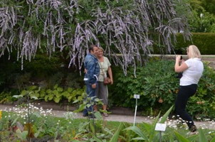 Botanischer Garten in Mnchen