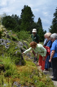 Botanischer Garten in Mnchen