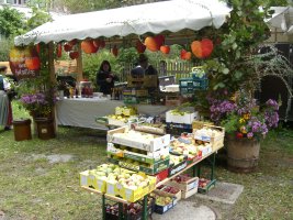 Gotzing: Apfelfest des Gartenbauverein Holzolling 2009
