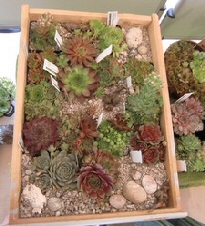 Landesgartenschau 2010 in Rosenheim