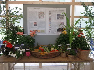 Landesgartenschau 2010 in Rosenheim