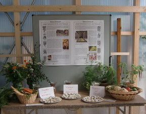 Landesgartenschau 2010 in Rosenheim