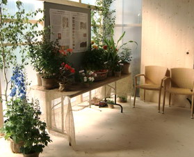 Landesgartenschau 2010 in Rosenheim