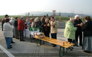 Ausflug in die Wachau zur Marillenblte