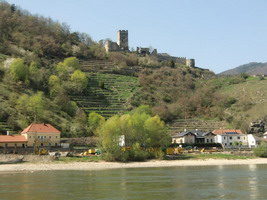 Ausflug in die Wachau zur Marillenblte