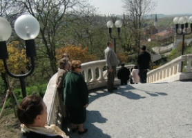 Ausflug in die Wachau zur Marillenblte