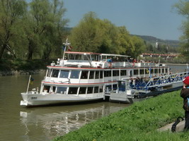 Ausflug in die Wachau zur Marillenblte
