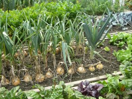 Gartenbauverein Holzolling fährt nach Weihenstephan