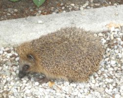 Gartenbauverein Holzolling fährt nach Weihenstephan